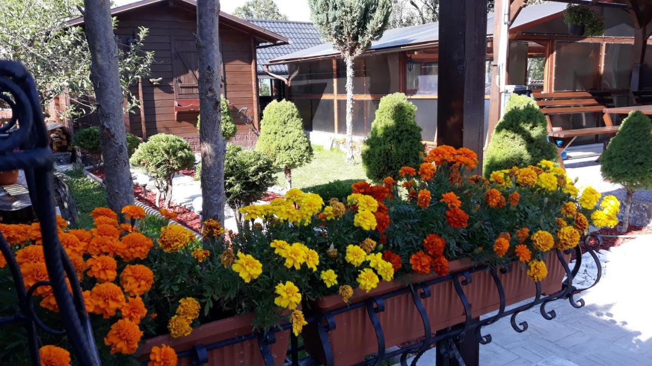 Casa Alberta Ocna Şugatag Buitenkant foto