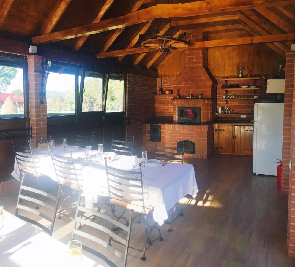 Casa Alberta Ocna Şugatag Buitenkant foto